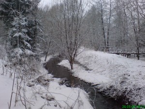 Winter Alfbach4
